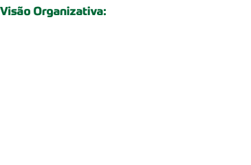Visão Organizativa: